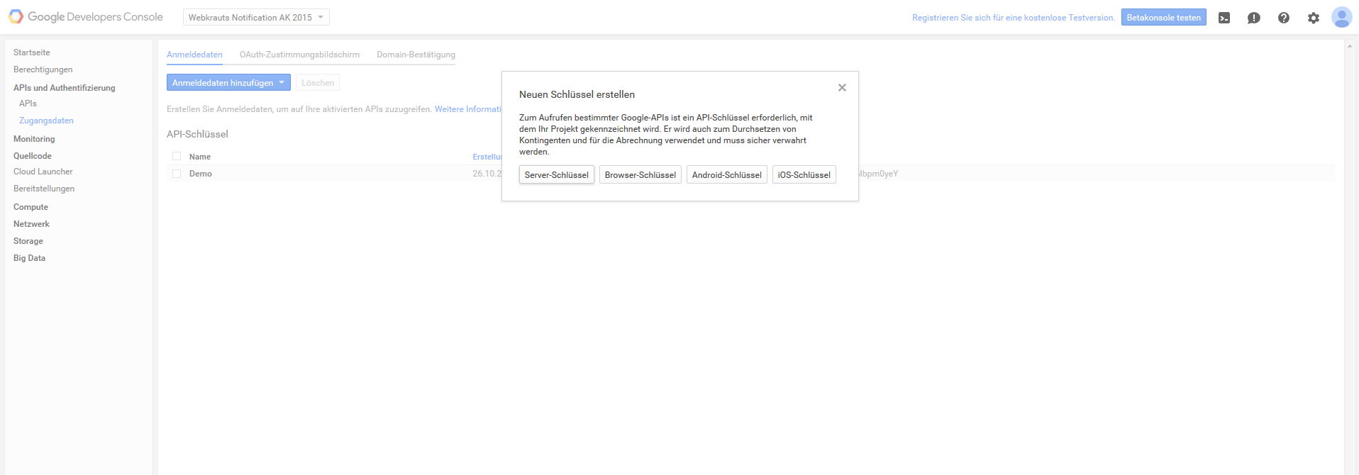 Ein Screenshot der Developer-Konsole von Google während der Erstellung eines API-Schlüssels.